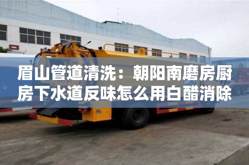 眉山管道清洗：朝陽南磨房廚房下水道反味怎么用白醋消除