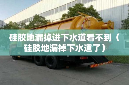 硅膠地漏掉進(jìn)下水道看不到（硅膠地漏掉下水道了）