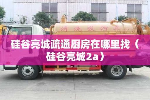 硅谷亮城疏通廚房在哪里找（硅谷亮城2a）