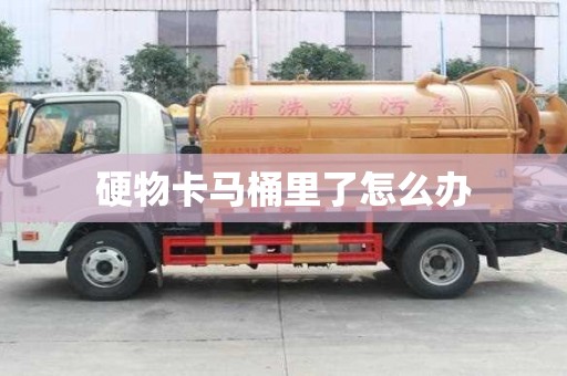 硬物卡馬桶里了怎么辦