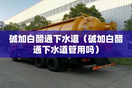 堿加白醋通下水道（堿加白醋通下水道管用嗎）