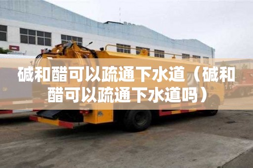 堿和醋可以疏通下水道（堿和醋可以疏通下水道嗎）