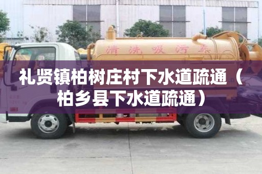 禮賢鎮(zhèn)柏樹(shù)莊村下水道疏通（柏鄉(xiāng)縣下水道疏通）