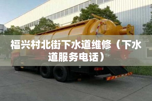 福興村北街下水道維修（下水道服務電話）