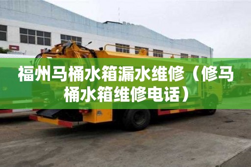 福州馬桶水箱漏水維修(修馬桶水箱維修電話) 福州馬桶水箱漏水維修(修馬桶水箱維修電話)