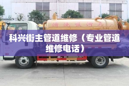 科興街主管道維修（專業管道維修電話）