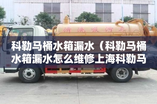 科勒馬桶水箱漏水（科勒馬桶水箱漏水怎么維修上海科勒馬桶售后維修服務）