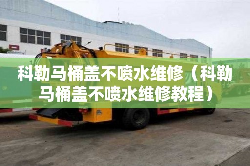 科勒馬桶蓋不噴水維修(科勒馬桶蓋不噴水維修教程) 科勒馬桶蓋不噴水維修(科勒馬桶蓋不噴水維修教程)