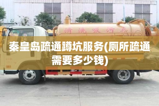 秦皇島疏通蹲坑服務(廁所疏通需要多少錢)