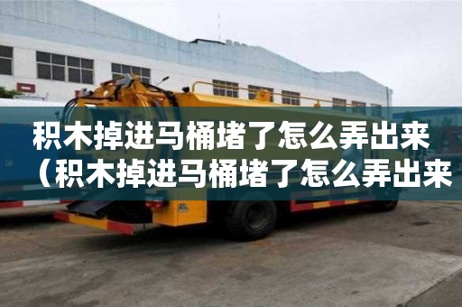 積木掉進馬桶堵了怎么弄出來（積木掉進馬桶堵了怎么弄出來的）