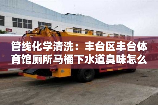 管線化學清洗：豐臺區(qū)豐臺體育館廁所馬桶下水道臭味怎么消除
