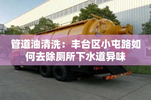 管道油清洗：豐臺區(qū)小屯路如何去除廁所下水道異味