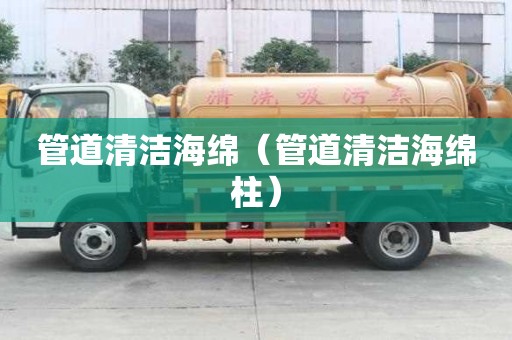 管道清潔海綿（管道清潔海綿柱）