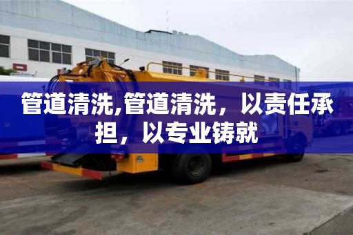 管道清洗,管道清洗，以責(zé)任承擔(dān)，以專業(yè)鑄就