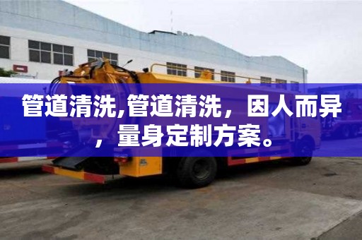 管道清洗,管道清洗，因人而異，量身定制方案。