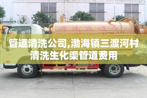 管道清洗公司,渤海鎮三渡河村清洗生化渠管道費用
