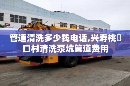 管道清洗多少錢電話,興壽桃硲口村清洗泵坑管道費用