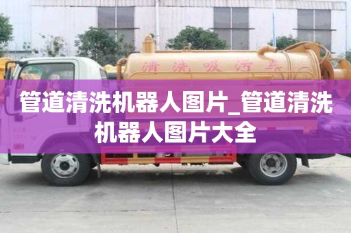 管道清洗機器人圖片_管道清洗機器人圖片大全