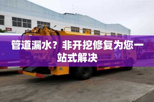 管道漏水？非開挖修復為您一站式解決
