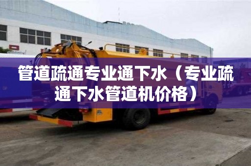 管道疏通專業通下水（專業疏通下水管道機價格）