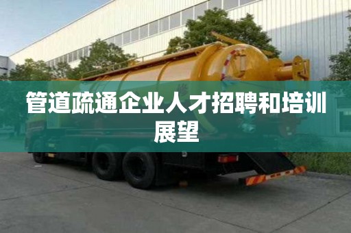 管道疏通企業人才招聘和培訓展望
