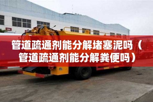 管道疏通劑能分解堵塞泥嗎（管道疏通劑能分解糞便嗎）