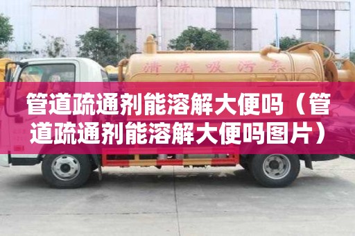 管道疏通劑能溶解大便嗎（管道疏通劑能溶解大便嗎圖片）