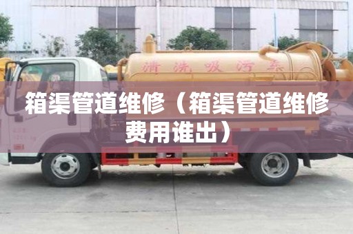 箱渠管道維修（箱渠管道維修費用誰出）
