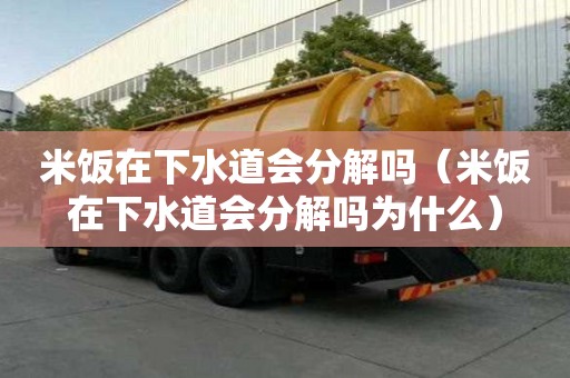 米飯?jiān)谙滤罆?huì)分解嗎（米飯?jiān)谙滤罆?huì)分解嗎為什么）