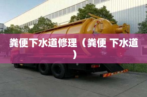 糞便下水道修理（糞便 下水道）