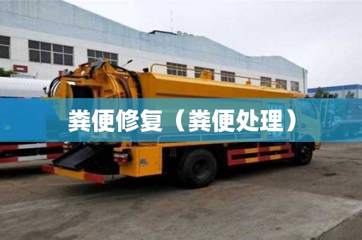 糞便修復(fù)（糞便處理）