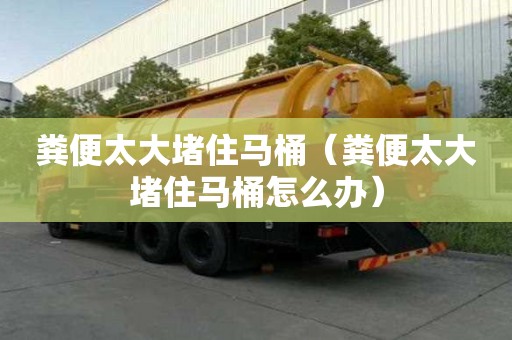 糞便太大堵住馬桶（糞便太大堵住馬桶怎么辦）