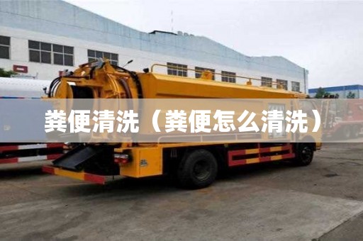 糞便清洗（糞便怎么清洗）