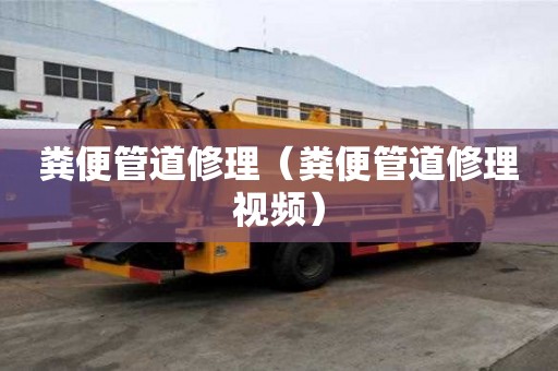 糞便管道修理（糞便管道修理視頻）