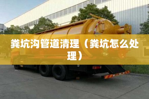 糞坑溝管道清理（糞坑怎么處理）