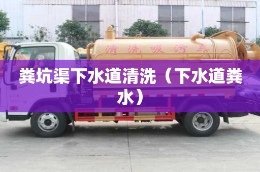 糞坑渠下水道清洗（下水道糞水）