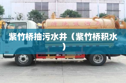 紫竹橋抽污水井（紫竹橋積水）