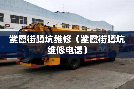 紫霞街蹲坑維修（紫霞街蹲坑維修電話）