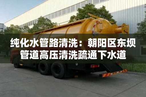 純化水管路清洗：朝陽區東壩管道高壓清洗疏通下水道