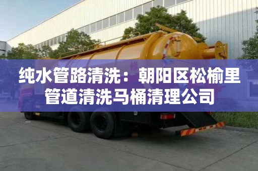 純水管路清洗：朝陽區(qū)松榆里管道清洗馬桶清理公司