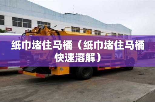 紙巾堵住馬桶（紙巾堵住馬桶快速溶解）