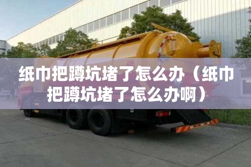 紙巾把蹲坑堵了怎么辦（紙巾把蹲坑堵了怎么辦啊）
