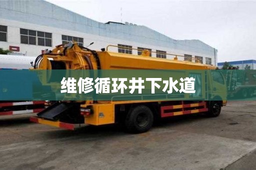 維修循環井下水道