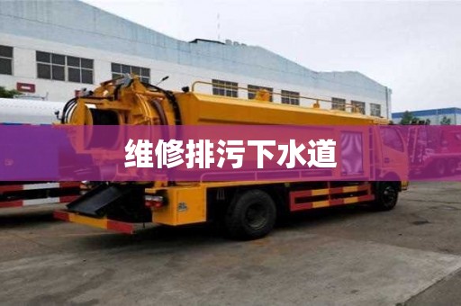 維修排污下水道 維修排污下水道