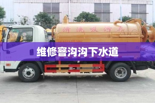 維修窨溝溝下水道 維修窨溝溝下水道
