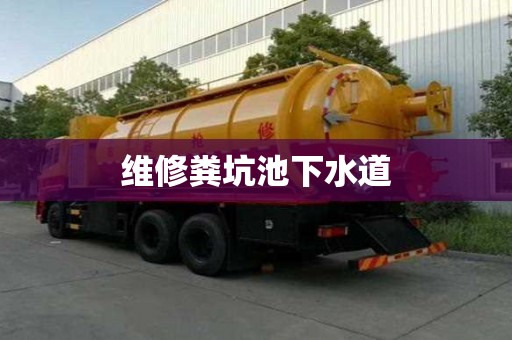 維修糞坑池下水道