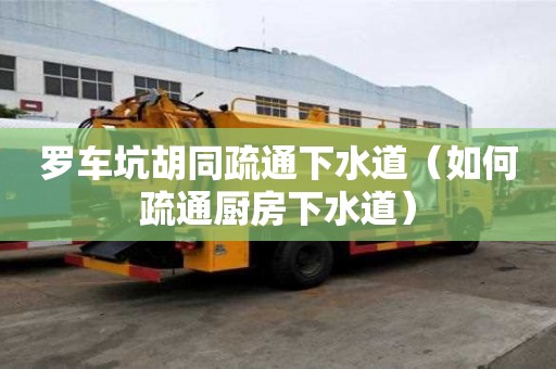 羅車坑胡同疏通下水道（如何疏通廚房下水道）