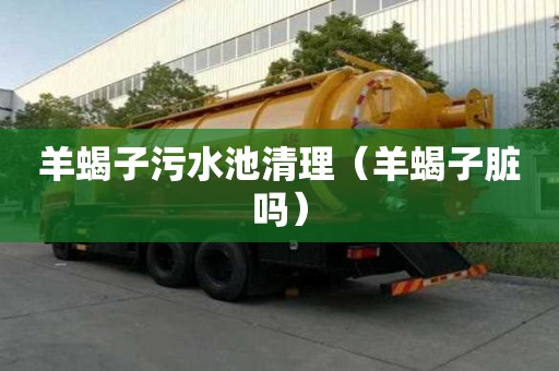 羊蝎子污水池清理（羊蝎子臟嗎）