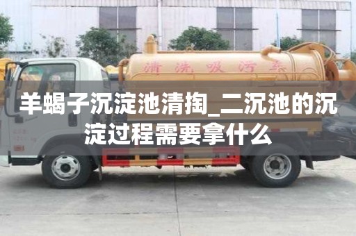 羊蝎子沉淀池清掏_二沉池的沉淀過程需要拿什么