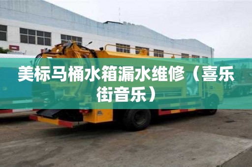 美標馬桶水箱漏水維修(喜樂街音樂) 美標馬桶水箱漏水維修(喜樂街音樂)